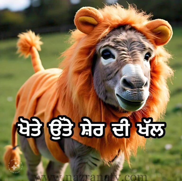 ਖੋਤੇ ਉੱਤੇ ਸ਼ੇਰ ਦੀ ਖੱਲ